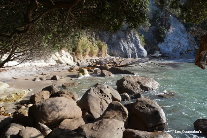 Cathedral Cove