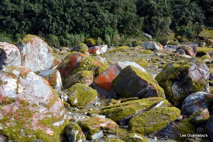 Franz Joseph Glacier