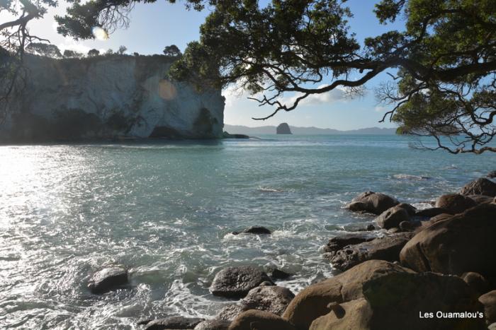 Cathedral Cove