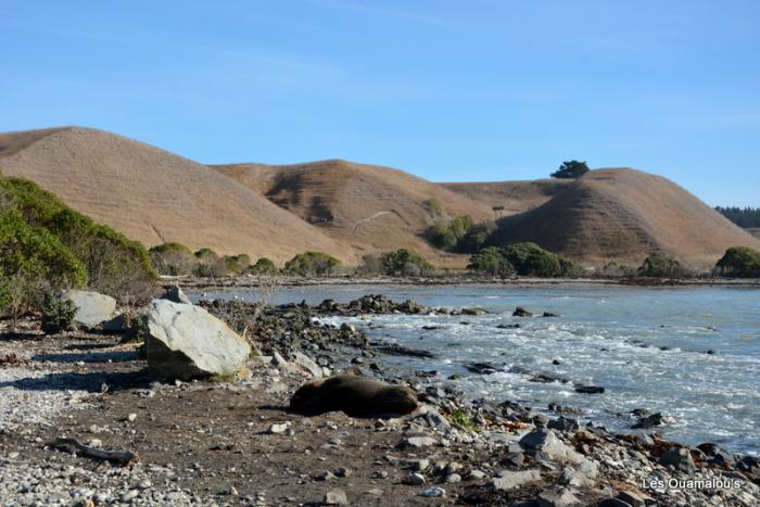 Kaikoura