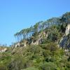 Cathedral Cove