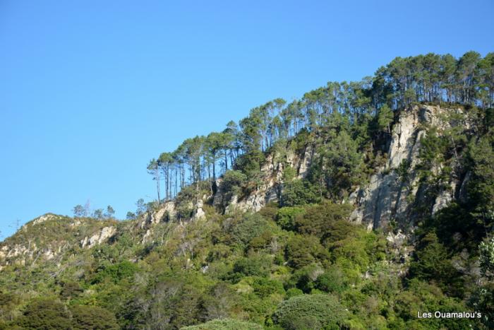 Cathedral Cove