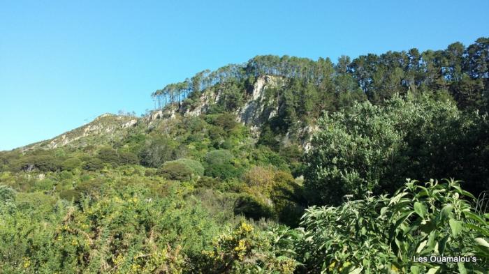 Cathedral Cove