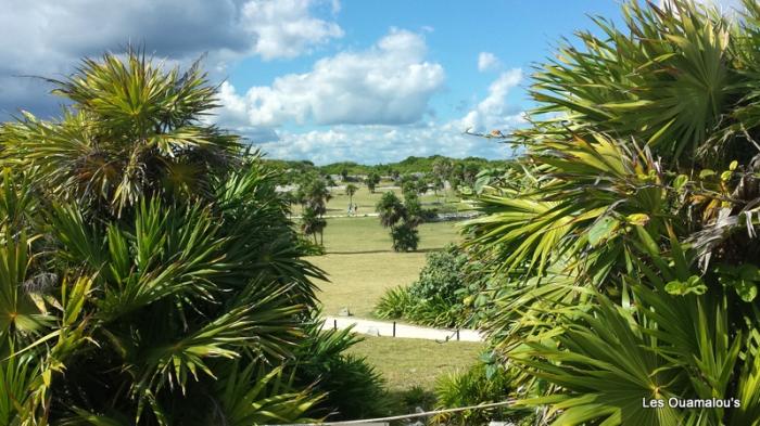 La cité Maya de Tulum