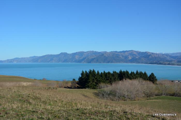 Kaikoura