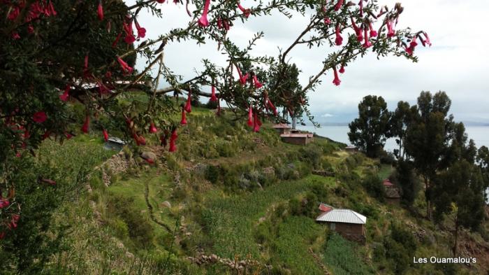 Ile Taquile