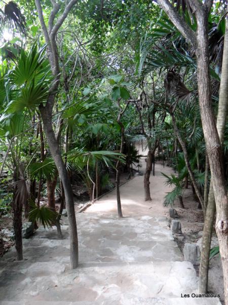 La cité Maya de Tulum