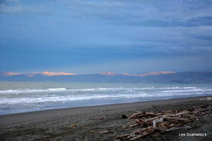 Kaikoura