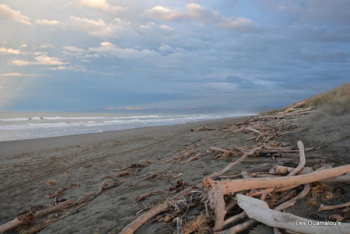 Kaikoura