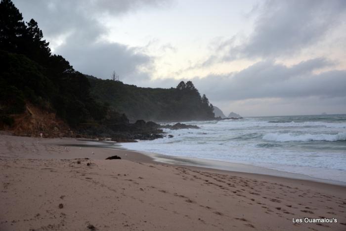 Tairua - Chez Patrick et David