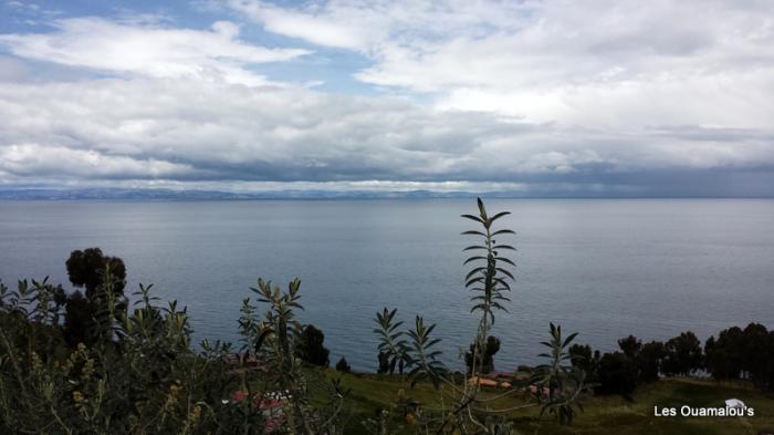 Lac Titicaca - Retour vers Puno