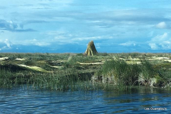 Lac Titicaca - Retour vers Puno