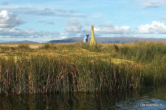 Lac Titicaca - Retour vers Puno