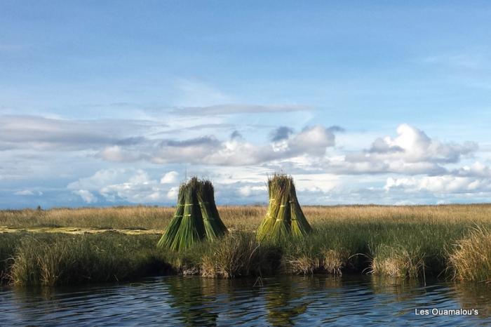 Lac Titicaca - Retour vers Puno