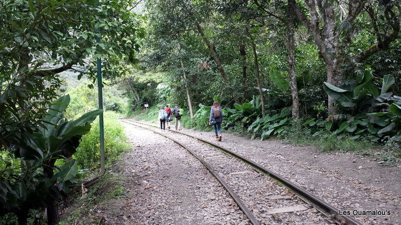 En chemin vers Aguas Calientes ...