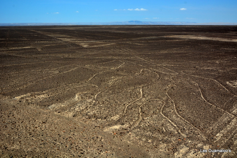 Les lignes de Nazca ...