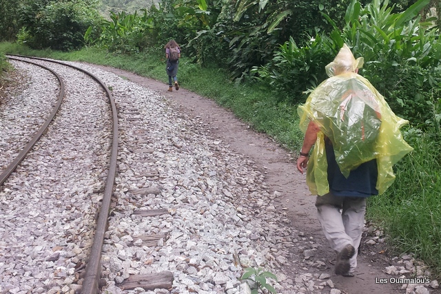 En chemin vers Aguas Calientes ...