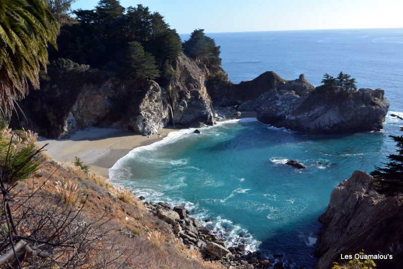 Julia Pfeiffer burn Park