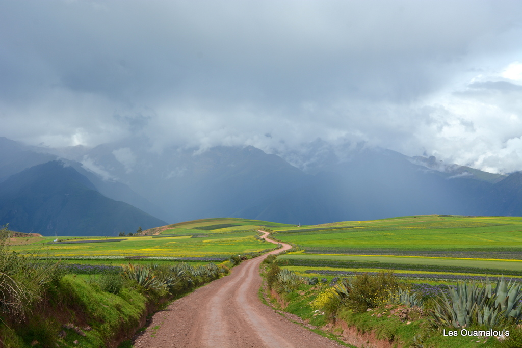 Sur la route d'Ollantaytambo ...