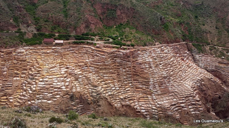 Les salinas de Maras ...